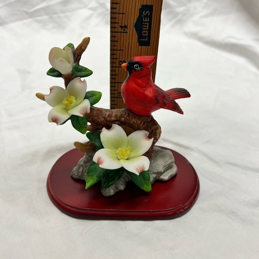Bird collection - Picture 6 of 16